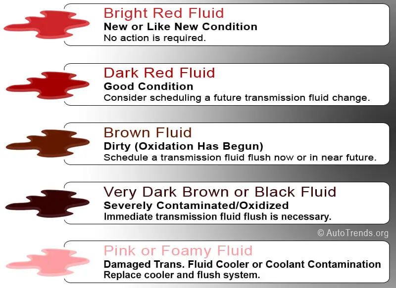 Transmission Fluid